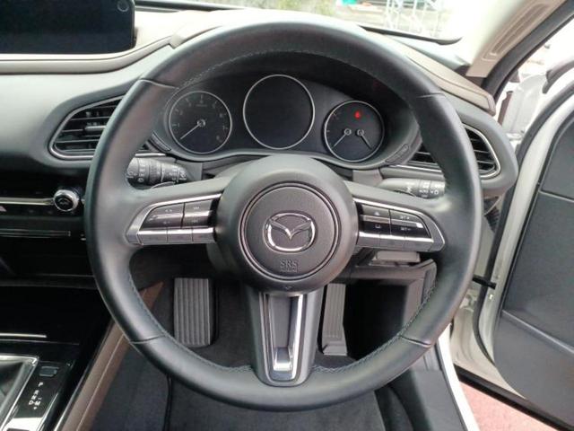 CX-30 20S Lパッケージ 保証書/純正 8.8インチ メモリーナビ/アイアクティブセンス(マツダ)/シートヒーター 前席/360°ビューモニター/車線逸脱防止支援システム/シート 合皮/電動バックドア/オートステップ ドラレコ(13枚目)