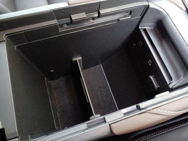 CX-30 20S Lパッケージ 保証書/純正 8.8インチ メモリーナビ/アイアクティブセンス(マツダ)/シートヒーター 前席/360°ビューモニター/車線逸脱防止支援システム/シート 合皮/電動バックドア/オートステップ ドラレコ(28枚目)