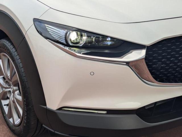 CX-30 20S Lパッケージ 保証書/純正 8.8インチ メモリーナビ/アイアクティブセンス(マツダ)/シートヒーター 前席/360°ビューモニター/車線逸脱防止支援システム/シート 合皮/電動バックドア/オートステップ ドラレコ(48枚目)