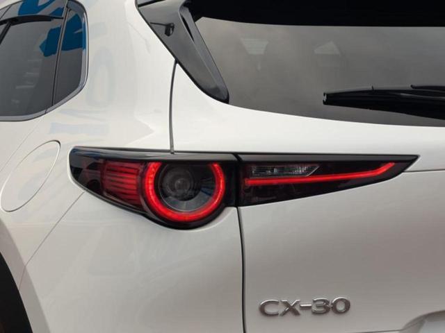 CX-30 20S Lパッケージ 保証書/純正 8.8インチ メモリーナビ/アイアクティブセンス(マツダ)/シートヒーター 前席/360°ビューモニター/車線逸脱防止支援システム/シート 合皮/電動バックドア/オートステップ ドラレコ(50枚目)