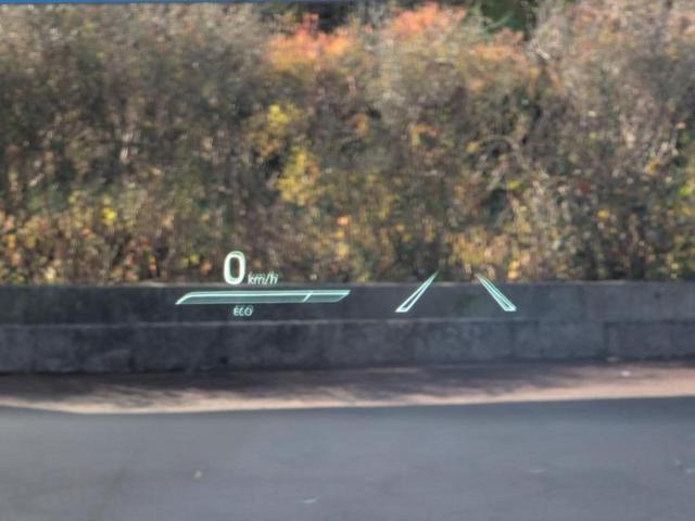 クラウン ＲＳ　保証書／純正　８インチ　ＳＤナビ／トヨタセーフティセンス／車線逸脱防止支援システム／ヘッドランプ　ＬＥＤ／Ｂｌｕｅｔｏｏｔｈ接続／ＥＴＣ／ＥＢＤ付ＡＢＳ／横滑り防止装置／アイドリングストップ（37枚目）