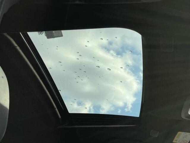 �u���̎Ԃ̎ʐ^�������ƌ������v�u��Ԃ��C�ɂȂ�v�u���̑����͂��Ă���H�v�ǂ�ȏ����ȋ^��ł����C�y�ɂ��₢���킹���������I