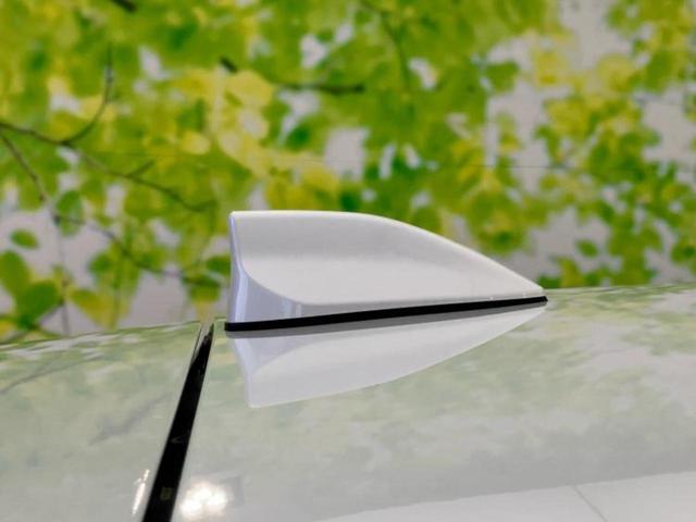 ライズ ハイブリッドZ 新品タイヤ/モデリスタエアロ/保証書/純正 9インチ ナビ/トヨタセーフティセンス/シートヒーター 前席/パノラミックビューモニター/車線逸脱防止支援システム/ヘッドランプ LED/USBジャック(51枚目)