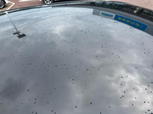 �v�d�b�`�q�r�̍݌Ƀy�[�W�����������������ɂ��肪�Ƃ��������܂��I�v�d�b�`�q�r�́u���q�l���v�����b�g�[�ɂ��q�l�̃J�[���C�t��S�͂ŃT�|�[�g�������܂��I