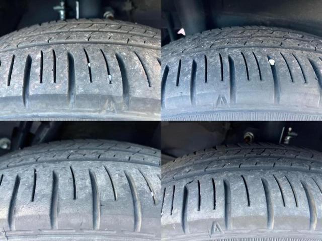 �u���̎Ԃ̎ʐ^�������ƌ������v�u��Ԃ��C�ɂȂ�v�u���̑����͂��Ă���H�v�ǂ�ȏ����ȋ^��ł����C�y�ɂ��₢���킹���������I