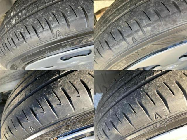 �u���̎Ԃ̎ʐ^�������ƌ������v�u��Ԃ��C�ɂȂ�v�u���̑����͂��Ă���H�v�ǂ�ȏ����ȋ^��ł����C�y�ɂ��₢���킹���������I