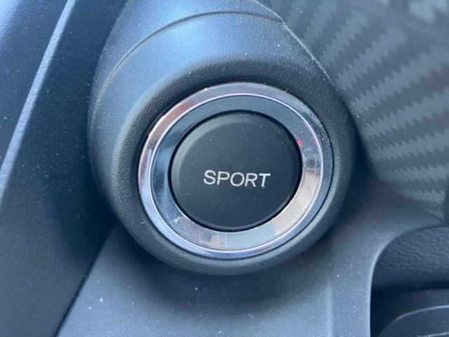 Ｓ６６０ アルファ　新品タイヤ／保証書／シティーブレーキアクティブシステム（ホンダ）／シート　ハーフレザー／ヘッドランプ　ＬＥＤ／ＵＳＢジャック／ＥＢＤ付ＡＢＳ／横滑り防止装置／クルーズコントロール　ＬＥＤヘッドランプ（24枚目）