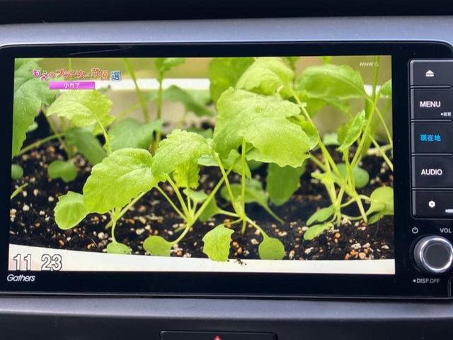 フィット eHEVホーム 新品タイヤ/保証書/純正 9インチ メモリーナビ/ホンダセンシング/車線逸脱防止支援システム/ドライブレコーダー 前後/ヘッドランプ LED/USBジャック/Bluetooth接続/ETC DVD再生(10枚目)