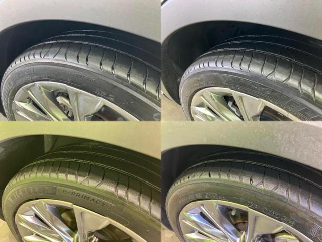 �u���̎Ԃ̎ʐ^�������ƌ������v�u��Ԃ��C�ɂȂ�v�u���̑����͂��Ă���H�v�ǂ�ȏ����ȋ^��ł����C�y�ɂ��₢���킹���������I