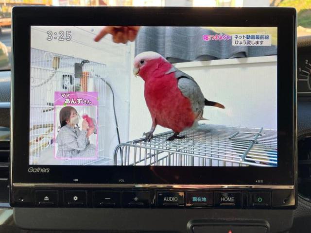 N-BOX L・ターボ 新品タイヤ/保証書/純正 9インチ SDナビ/ホンダセンシング/両側電動スライドドア/シートヒーター/車線逸脱防止支援システム/ドライブレコーダー 前後/ヘッドランプ LED 衝突被害軽減システム(11枚目)