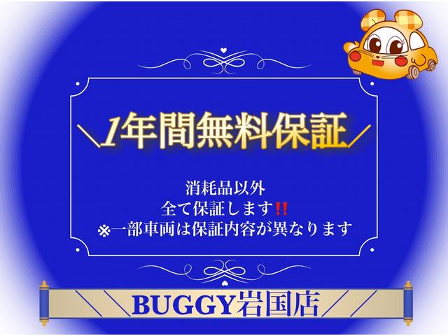 デイズルークス Ｓ　１年保証　走行４０６５２Ｋｍ　衝突被害軽減システム　ナビ　ＥＴＣ　アイドリングストップ　キーレスエントリー　両側スライドドア　電動格納式ドアミラー　衝突安全ボディ　フロアマット　ドアバイザー（44枚目）