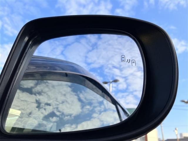 ライズ Z フルセグ ミュージックプレイヤー接続可 バックカメラ 衝突被害軽減システム ETC LEDヘッドランプ ワンオーナー 記録簿 アイドリングストップ(28枚目)