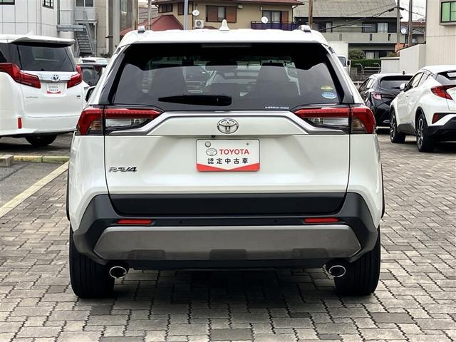 RAV4 G 4WD フルセグ メモリーナビ DVD再生 ミュージックプレイヤー接続可 バックカメラ 衝突被害軽減システム ETC ドラレコ LEDヘッドランプ ワンオーナー 記録簿(6枚目)