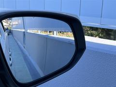 ټξ졼ǸΤɥߥ顼Ǥϳǧˤ¦ꥢ¸ߤξ˲äܶᤷƤξ⸡ΤޤξΤȥɥߥ顼ܤ줿̣ţĥ󥸥ޤ 3