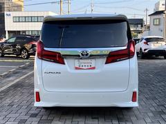 ե ӡ롼աե륻ߥ塼åץ쥤䡼³ġʥ˥ 1030228A20251116T002 6