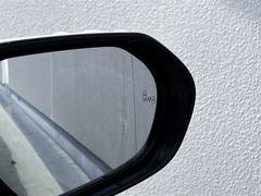 ����� �ǥ쥶���ѥå��������ץ����ȡ����꡼�ʥӡ��Хå�����顡�����ﳲ�ڸ������ƥ� 1030228A20251225T005 2