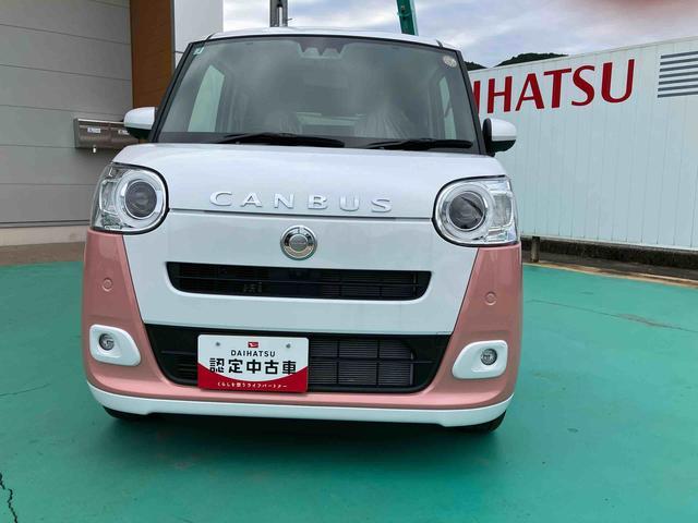 ムーヴキャンバス ストライプスG(25枚目)