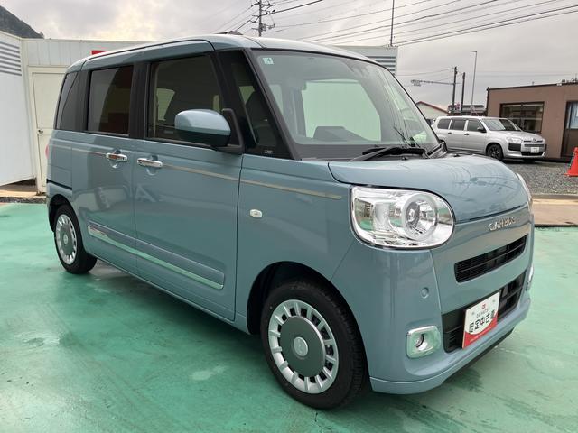 ムーヴキャンバス セオリーＧ（6枚目）