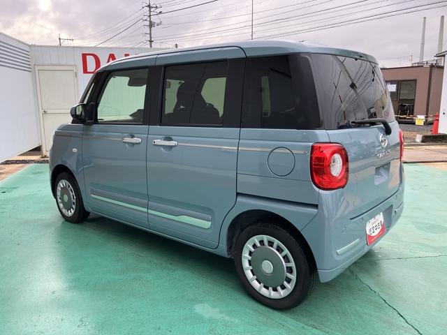 ムーヴキャンバス セオリーＧ（10枚目）