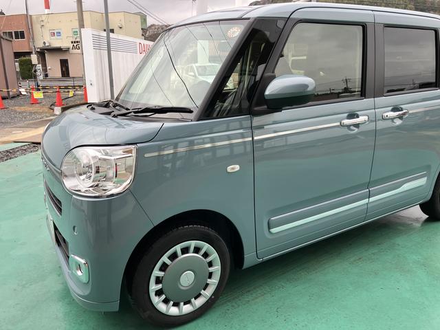 ムーヴキャンバス セオリーＧ（14枚目）