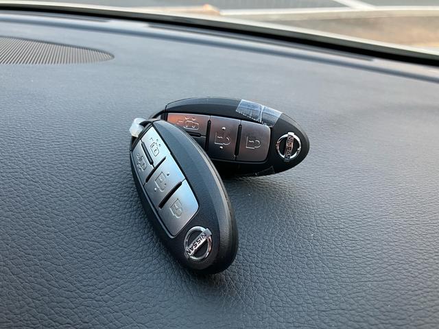 エルグランド 250ハイウェイスターS 両側パワースライドドア ドライブレコーダー スマートキー プッシュスタート ナビTV バックカメラ Bluetooth接続 3列シート クルーズコントロール ABS エアバッグ 盗難防止装置(31枚目)