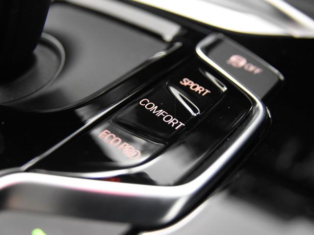 xDrive 20i Xライン 本革 アクティブクルーズコントロール ドライビングアシスト トップビュー パーキングアシスト オートトランク ハイビームアシスタント 純正19インチアロイホイール(74枚目)