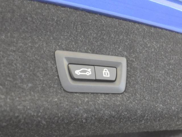 320d xDrive Mスポーツ LEDヘッドライト 純正18インチAW コンフォートアクセス オートトランク ハーフレザー Fシートヒーター トップビュー&Bカメラ アクティブクルーズコントロール 純正HDDナビ(48枚目)