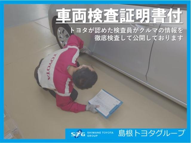 F セーフティーエディションII ワンセグ メモリーナビ ミュージックプレイヤー接続可 衝突被害軽減システム オートマチックハイビーム プッシュスタート スマートキー イモビライザー(52枚目)