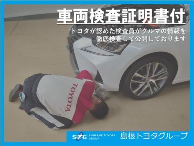 ZS フルセグ メモリーナビ DVD再生 バックカメラ 衝突被害軽減システム クルーズコントロール アイドリングストップ ETC ドラレコ スマートキー 片側電動スライドドア LEDヘッドランプ 純正アルミ(53枚目)