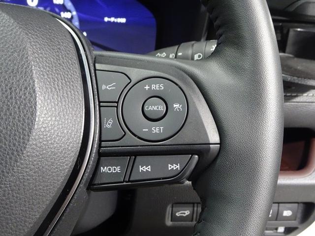 ＲＡＶ４ ハイブリッドＧ　サンルーフ　４ＷＤ　フルセグ　メモリーナビ　ミュージックプレイヤー接続可　バックカメラ　衝突被害軽減システム　ＥＴＣ　ドラレコ　ＬＥＤヘッドランプ　ワンオーナー　記録簿（28枚目）