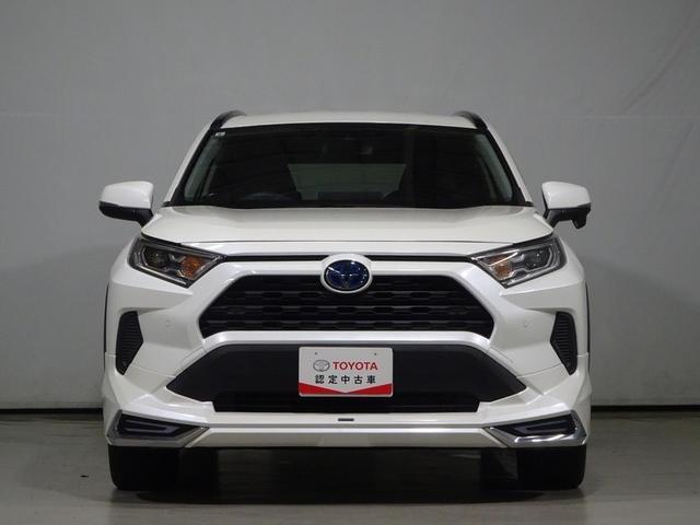 ＲＡＶ４ ハイブリッドＸ　４ＷＤ　フルセグ　メモリーナビ　ＤＶＤ再生　バックカメラ　衝突被害軽減システム　ＥＴＣ　ＬＥＤヘッドランプ　ワンオーナー　フルエアロ（17枚目）