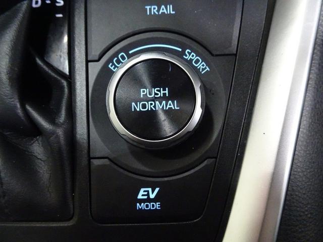 ＲＡＶ４ ハイブリッドＸ　４ＷＤ　フルセグ　メモリーナビ　ＤＶＤ再生　バックカメラ　衝突被害軽減システム　ＥＴＣ　ＬＥＤヘッドランプ　ワンオーナー　フルエアロ（32枚目）