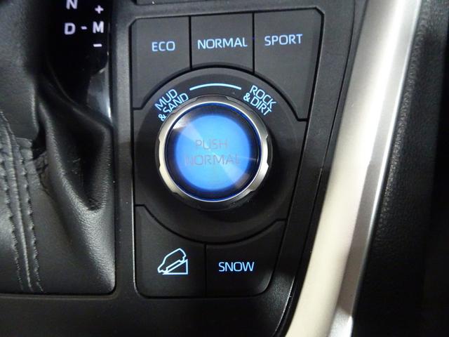 ＲＡＶ４ アドベンチャー　オフロードパッケージ　４ＷＤ　フルセグ　メモリーナビ　ミュージックプレイヤー接続可　バックカメラ　衝突被害軽減システム　ＥＴＣ　ドラレコ　ＬＥＤヘッドランプ　ワンオーナー　記録簿（38枚目）