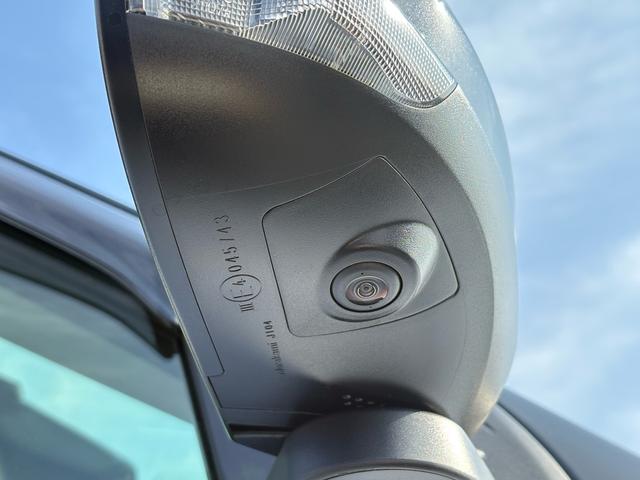 ライズ Ｚ　パノラミックビューパッケージ（９インチディスプレイオーディオ・Ａｐｐｌｅ　ＣａｒＰｌａｙ／Ａｎｄｒｏｉｄ　Ａｕｔｏ対応・フルセグＴＶ・Ｂｌｕｅｔｏｏｔｈ・ＨＤＭＩ端子）・パノラミックビュー（10枚目）