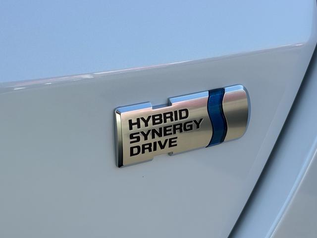 ライズ Ｚ　パノラミックビューパッケージ（９インチディスプレイオーディオ・Ａｐｐｌｅ　ＣａｒＰｌａｙ／Ａｎｄｒｏｉｄ　Ａｕｔｏ対応・フルセグＴＶ・Ｂｌｕｅｔｏｏｔｈ・ＨＤＭＩ端子）・パノラミックビュー（13枚目）