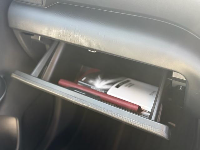 ライズ Ｚ　パノラミックビューパッケージ（９インチディスプレイオーディオ・Ａｐｐｌｅ　ＣａｒＰｌａｙ／Ａｎｄｒｏｉｄ　Ａｕｔｏ対応・フルセグＴＶ・Ｂｌｕｅｔｏｏｔｈ・ＨＤＭＩ端子）・パノラミックビュー（39枚目）