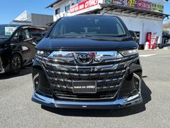 ᡼ץڥΩࡼ롼աѥɥ󥷥ɡʥ饤ɥ饹䥯饹˥ѥǥ顼ץɥХʥǥץ쥤 2