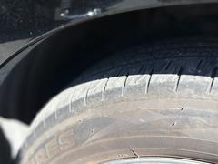 ǥ奢ѥ饤ɥɥѥХåɥưȡƥ쥹ԥåƥ 6