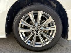 ƥꥸȥꥢ󥹥ʡʥΥץƥȥ᡼ 6