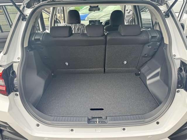 ライズ Ｚ　パノラミックビュー　２トーン色　ディスプレイオーディオ　ブラインドスポットモニター　アイドリングストップ　クリアランスソナー（30枚目）