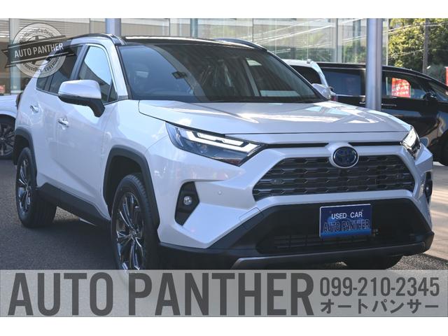 ＲＡＶ４ ハイブリッドＧ　パノラマムーンルーフ・デジタルインナーミラー・純正ナビ＋ＴＶ・トヨタセーフティ・パノラミックビューモニター・純正ＡＷ・Ｂｉ－ＢｅａｍＬＥＤヘッドランプ＋フォグランプ・ハンズフリーパワーバックドア（7枚目）