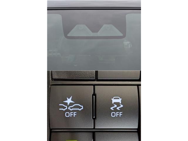 ライズ Z ハイブリッド 9インチディスプレイオーディオ パノラミックビューモニター ブラインドスポットモニター レーダークルーズ 前席シートヒーター(9枚目)