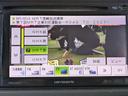 ＧＳ　ＣＶＴ車　メモリーナビ　１セグＴＶ　ＤＶＤ＆ブルートゥース　ＥＴＣ（21枚目）