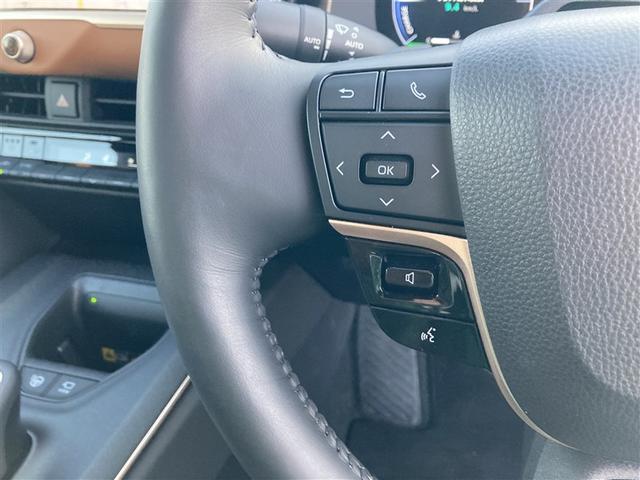 クラウンクロスオーバー ＲＳアドバンスド　展示・試乗車　ワンオーナー　記録簿　衝突被害軽減システム　アイドリングストップ　横滑り防止機能　メモリーナビ　フルセグ　ミュージックプレイヤー接続可　バックカメラ　革シート　スマートキー　キーレス（16枚目）