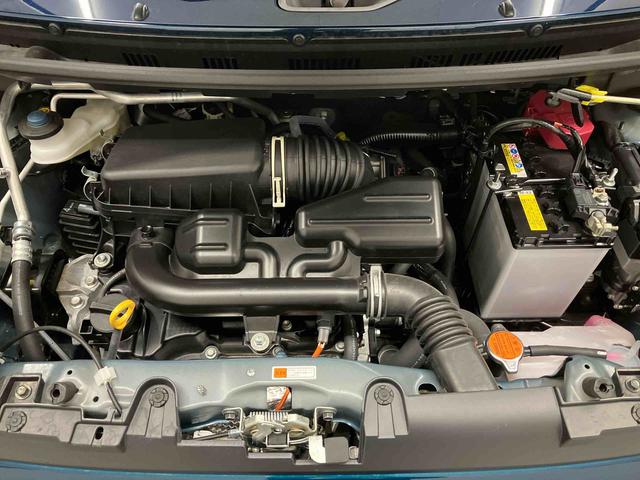 ���[���[���A���쐫�ǍD�ȃn���h���܂��ł��B�܂��C�����悭����蒸�����߂ɁA�O�ꂵ�����[���N���[�j���O�����{���Ă���܂��B