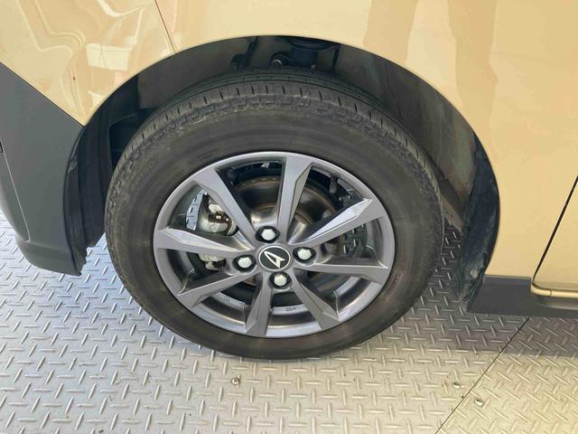 �t�����g�z�C�[���ł��B