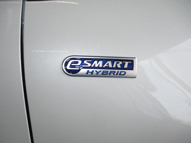 ロッキー プレミアムG HEV(11枚目)