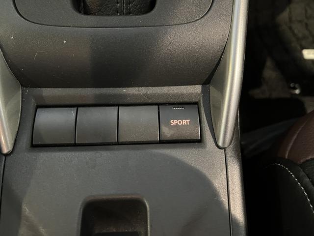 �͋����X�|�[�e�B�[�ȑ���ɂȂ�X�|�[�c���[�h�X�C�b�`�ł��B