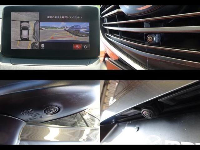 20S Lパッケージ ETC 360°モニター ナビSD 認定中古車(13枚目)