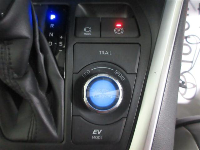 ＲＡＶ４ ハイブリッドＧ　衝突被害軽減装置　ドライブレコーダ　ＡＣ１００Ｖ電源　バックモニター　整備記録簿　地デジＴＶ　ＬＥＤヘッドライト　スマキー　電動シ－ト　ＡＷＤ　ＴＶナビ　パワステ　横滑り防止装置　クルコン　ＡＡＣ（13枚目）